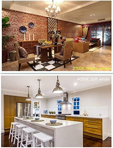 LED Edison Bulb 4W, Antique 40W Vintage Edison Bulb, E26 Light Bulb Non - Image 7