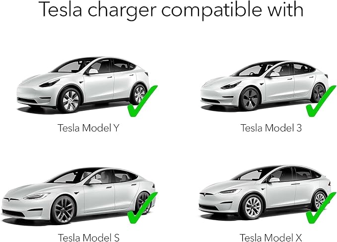 Lectron Level 2 Tesla Charger - 240V - Image 4