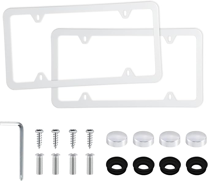 LivTee 4 Holes Stainless Steel License Plate Frames, Automotive Exterior by LivTee