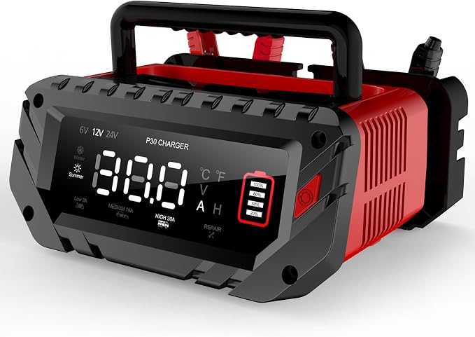 30 Amp Lithium Battery Charger, 6V10A/12V30A/24V16A Lifepo4, Lead-Acid Smart by Dght