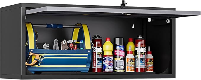 Wall Mounted Steel Metal Garage Storage Cabinet, Wall Cabinet Shelf Floating by STANI