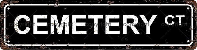CEMETERY CT Space Vintage Metal Tin Sign License Plate Bar Cafe Garage Cave by Unknown