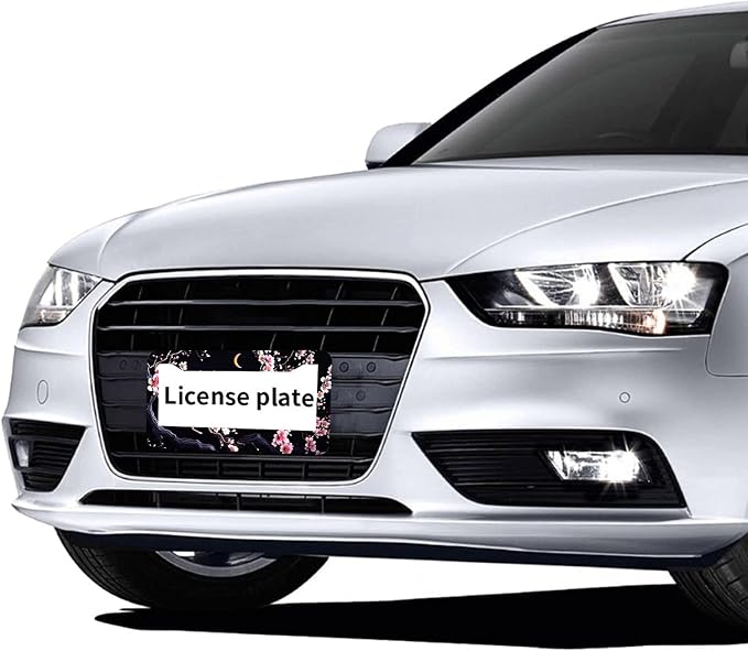 Flowers Plum Blossom Moon License Plate Frames - Image 6