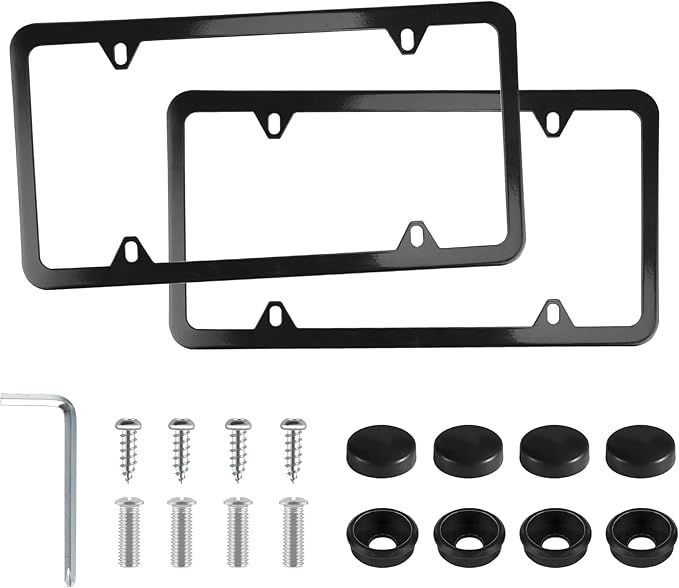 LivTee 4 Holes Stainless Steel License Plate Frames, Automotive Exterior by LivTee
