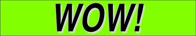 Ez-line Vinyl Windshield Stickers 3 Dozen 15 Inch Chartreuse Slogan Dealership - Image 3