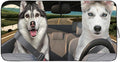 Gven Windshield Shade, Car Sun Shade by Gven