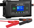 25 Amp Lithium Battery Charger, 12V and 24V Lifepo4, Lead-Acid Battery Charger by haisito
