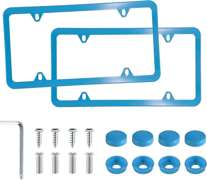 LivTee 4 Holes Stainless Steel License Plate Frames, Automotive Exterior by LivTee