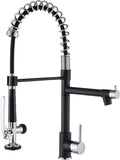 Fapully Kitchen Sink Faucet, Pull Down Kitchen Faucet, Single Handle Single by Fapully