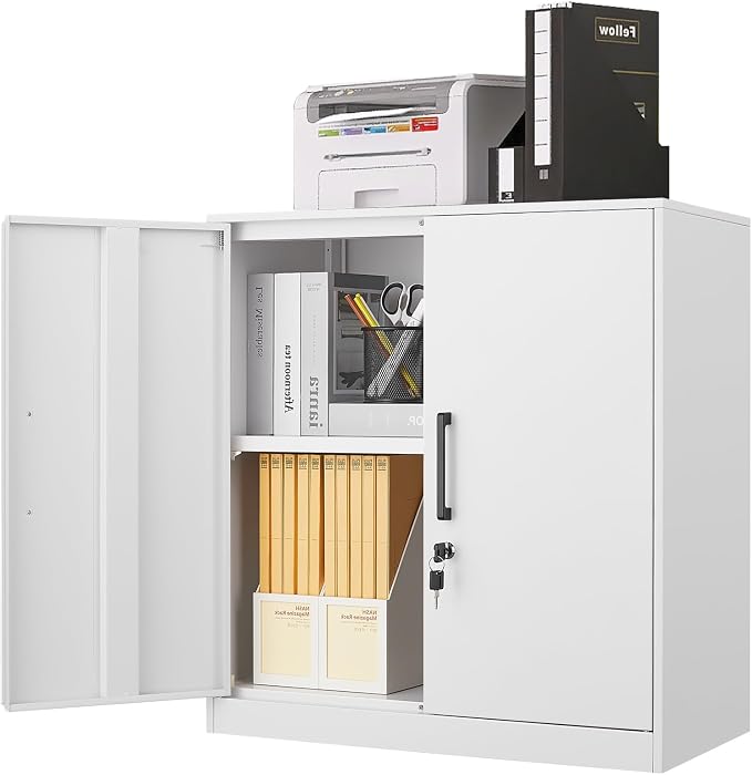 LUCYPAL Locking Storage Cabinets, Metal Cabinet by HomeOfficeFurniture