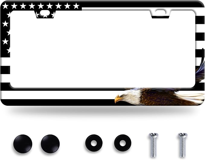 American Flag and Eagle License Plate USA Flag License Plate Stainless Steel by GORSNKYE