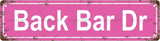 Back Bar Dr Space Vintage Metal Tin Sign, Street Sign, Home Decor, Room Decor by Unknown