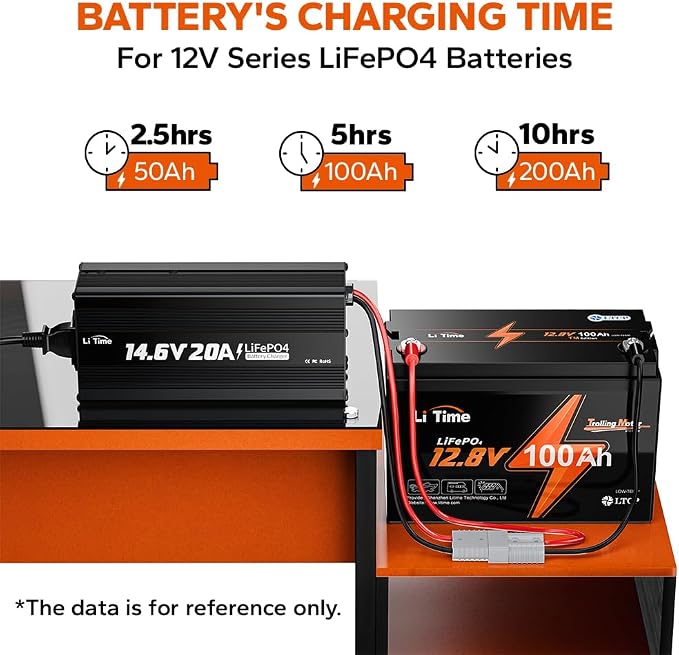 LiTime 12V 20A Lithium Battery Charger 14.6V LiFePO4 Battery Charger AC-DC - Image 2
