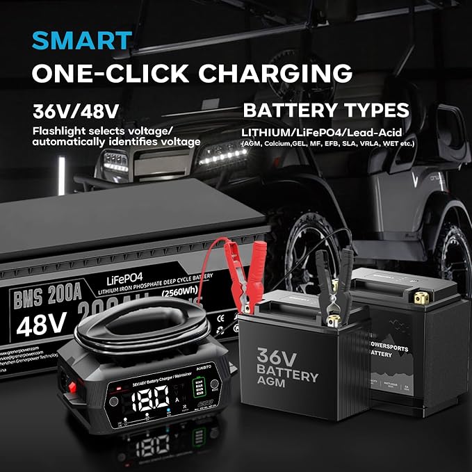 Golf cart Battery Charger, 48V 13A and 36V 18A Trickle Battery Charger - Image 2