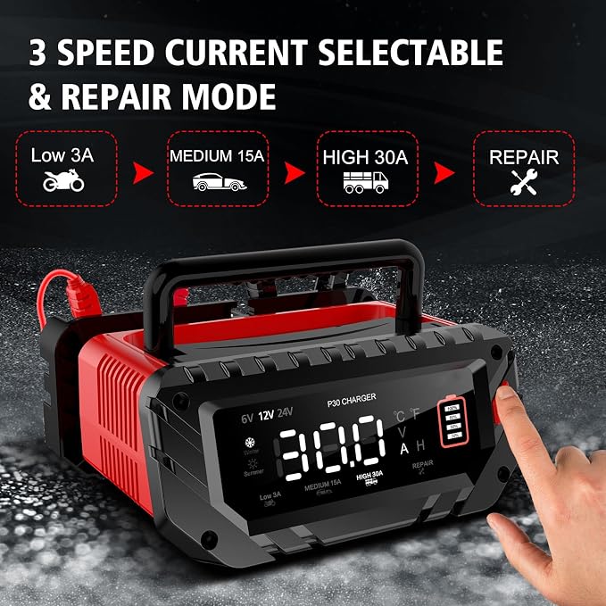 30 Amp Lithium Battery Charger, 6V10A/12V30A/24V16A Lifepo4, Lead-Acid Smart - Image 2