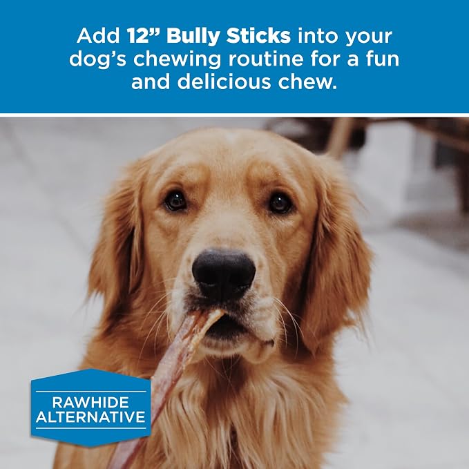 Best Bully Sticks 12 Inch Bully Sticks - Image 6