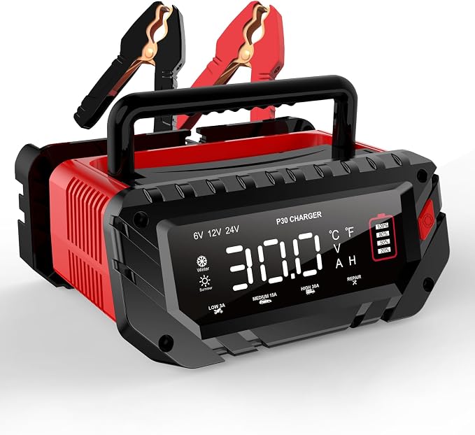 30 Amp Lithium Battery Charger, 6V/12V/24V Lifepo4, Lead-Acid Portable Car by haisito