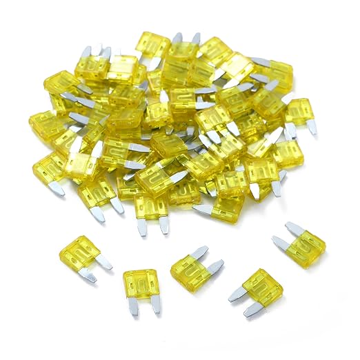 100 Pack Auto Fuses 20 AMP APM/ATM 32V Mini Blade Style Fuses 20A Short Circuit by JESUNK