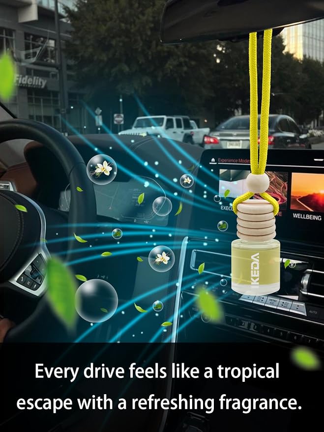 IKEDA Car Air Freshener, Car Fresheners - Image 4