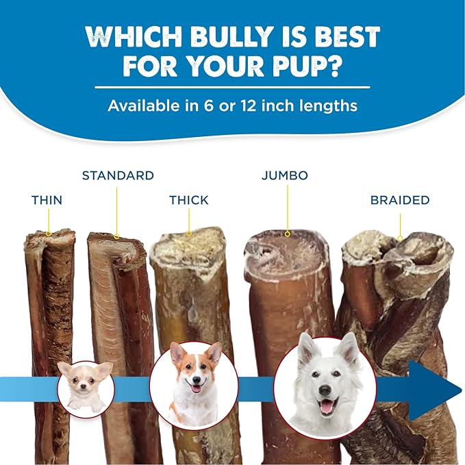 Best Bully Sticks 12 Inch Bully Sticks - Image 5
