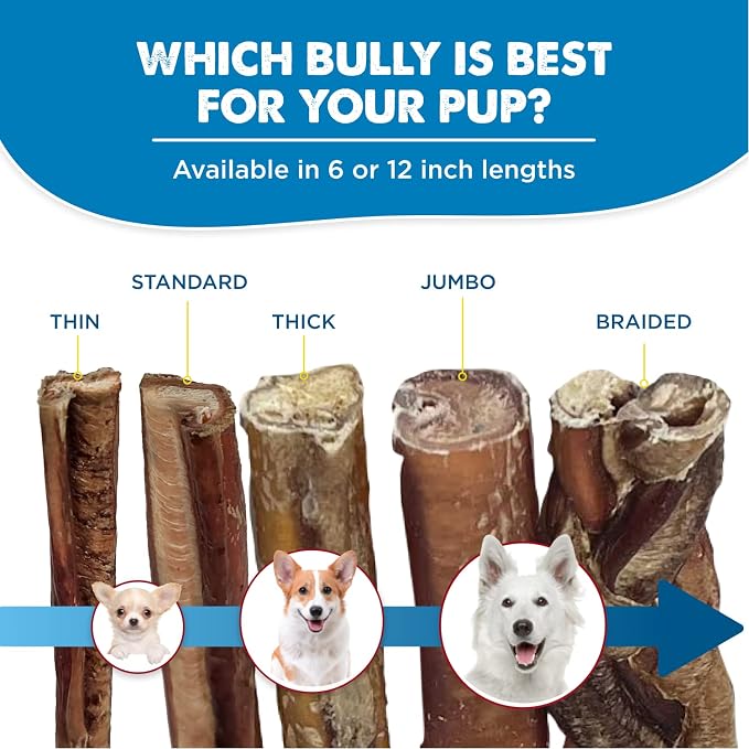 Best Bully Sticks 12 Inch Bully Sticks - Image 6