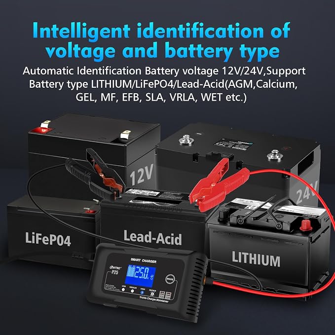 25Amp Lithium Battery Charger, 12V and 24V Lead-Acid Battery Charger, Battery - Image 5