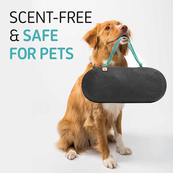 Car Air Freshener - Image 4
