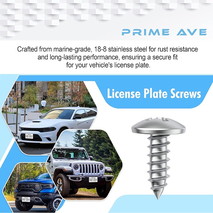 Stainless Steel License Plate Screws - Image 5