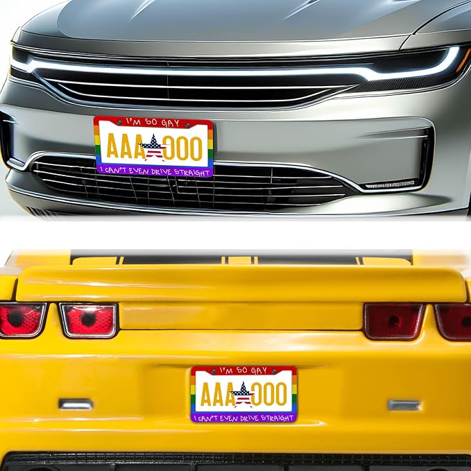 License Plate Frames Rainbow Automotive Exterior Accessories I'm So Gay I Can’t - Image 8