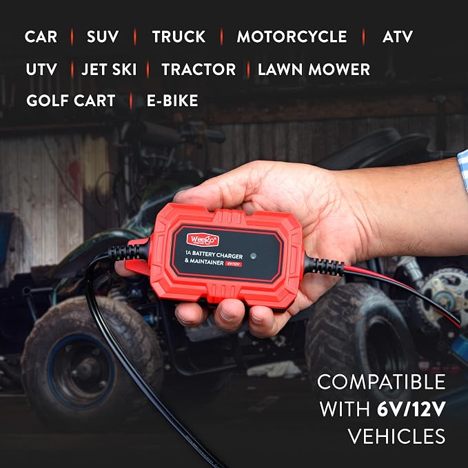 Weego 1A Battery Maintainer/Trickle Charger - Image 2