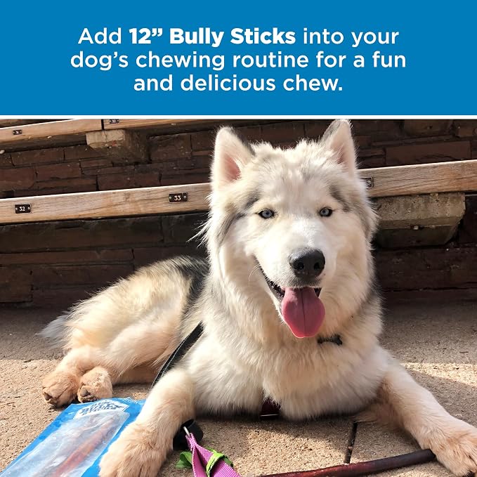 Best Bully Sticks 12 Inch Bully Sticks - Image 6