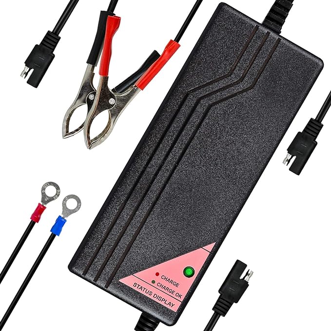 ExpertPower 12.8V 5A Smart Charger by ExpertPower