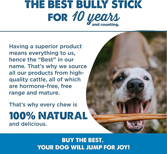 Best Bully Sticks 6 Inch Bully Sticks - Image 7