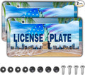 License Plate Frame Multicolor License Plate Holder Palm Trees by Unknown