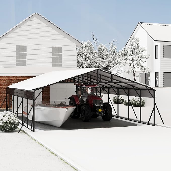 20' x 30' Heavy Duty Metal Carport by LuyFuitre