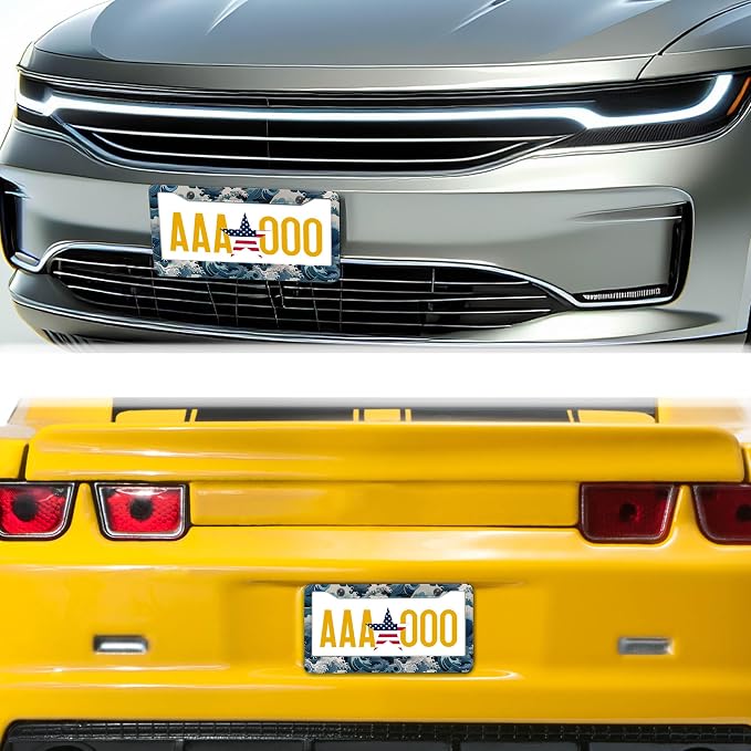 License Plate Frames for Men Multicolor License Plate Frame Holder for Women - Image 8