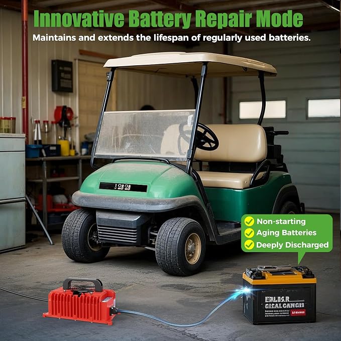 10L0L 15 Amp 48 Volt Golf Cart Charger - Image 3